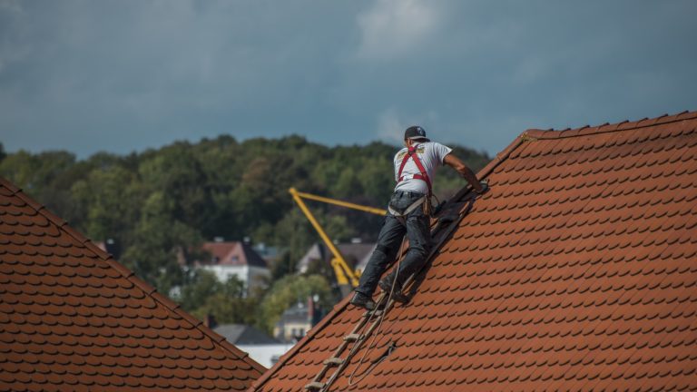 roofing expert