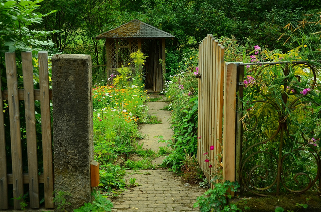 backyard